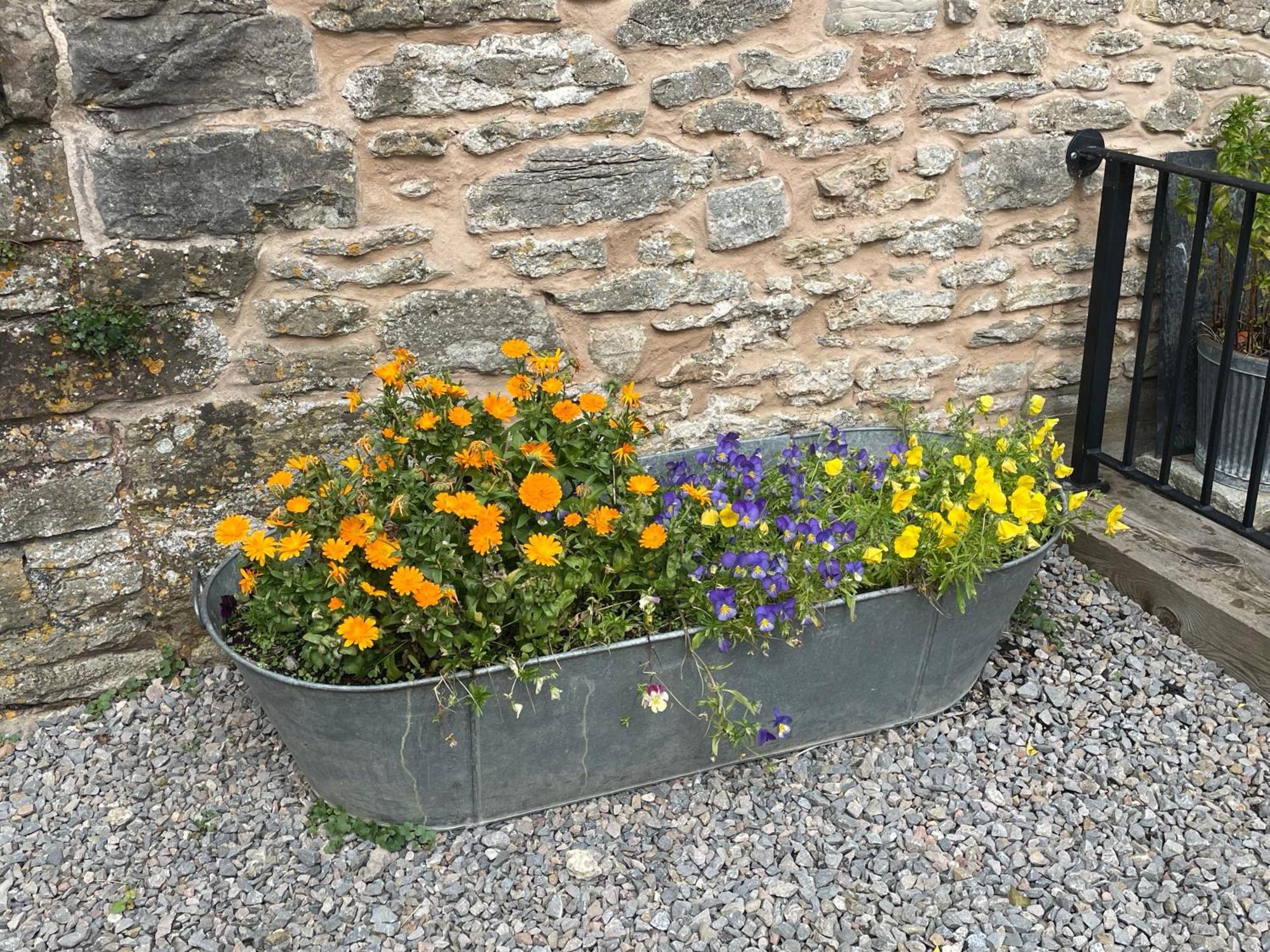 Acorn Cottage Ross-on-Wye Esterno foto